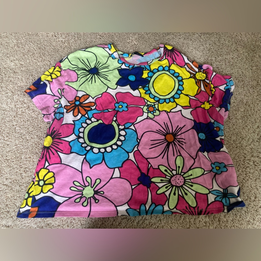 Zara Bright Multi-Color Floral Crop Top